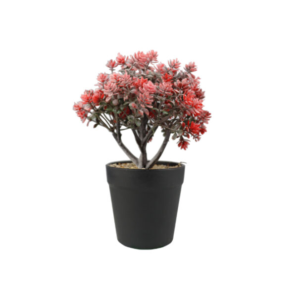 Artificial Red Succulent Plant in Pot