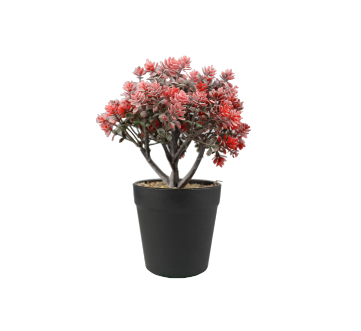 Artificial Red Succulent Plant in Pot