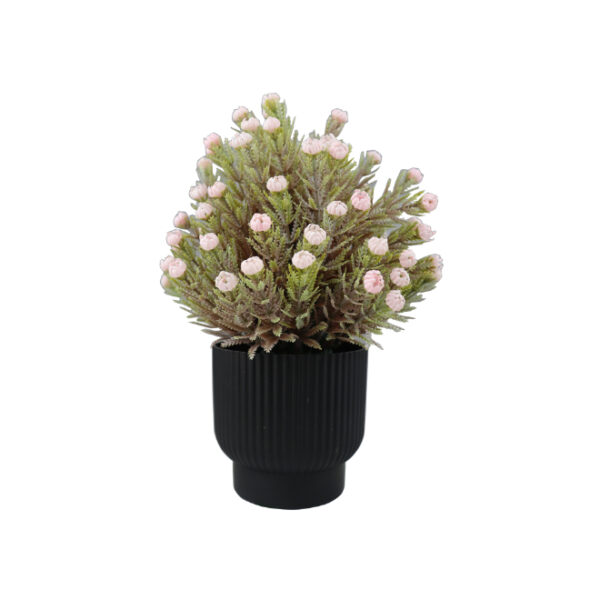 Mini Artificial Plant in Black Pot