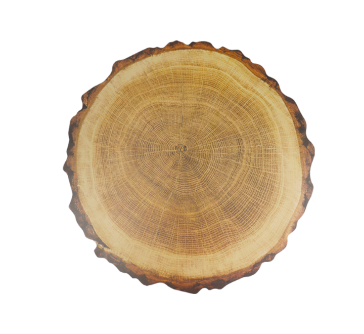 Brown Wood Slices Design Table Mat 38cm
