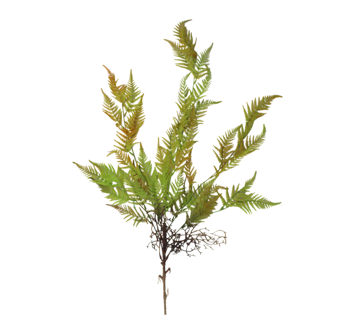 Artificial Fern Leaves