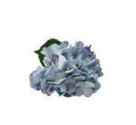 Artificial Hydrangea Flower Stem