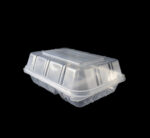 Zibo 2 Division Fast Food Container
