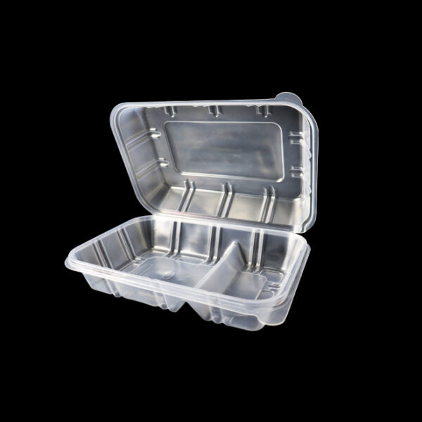 Zibo 2 Division Fast Food Container