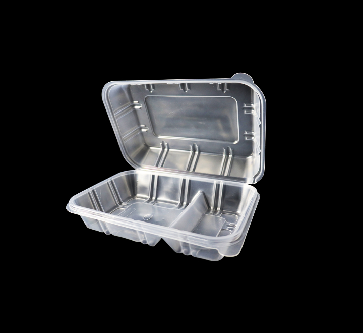 Zibo 2 Division Fast Food Container