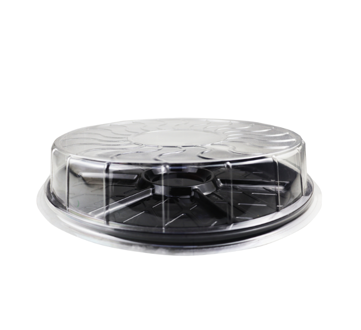 Zibo Platter with Dome Lid (7 Division)