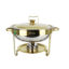Food Warmer