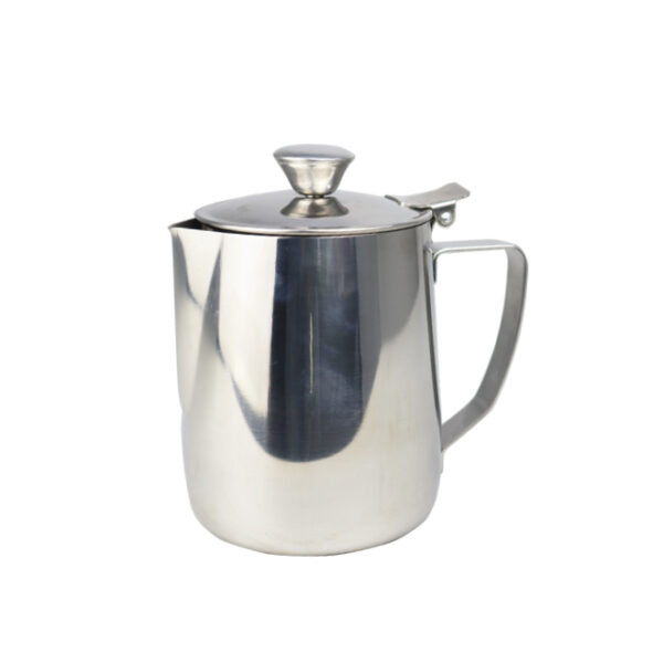 Stainless Steel Teapot