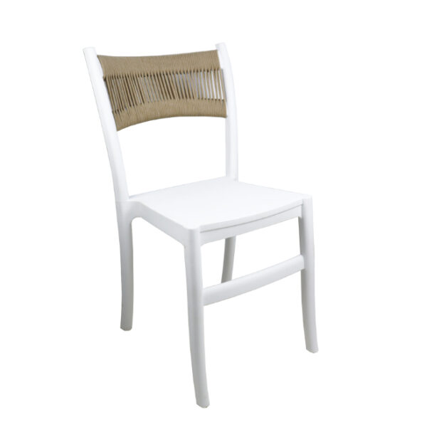 Plastic Dining Chair