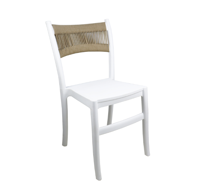 Plastic Dining Chair