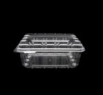Clear Clamshell Takeaway Container