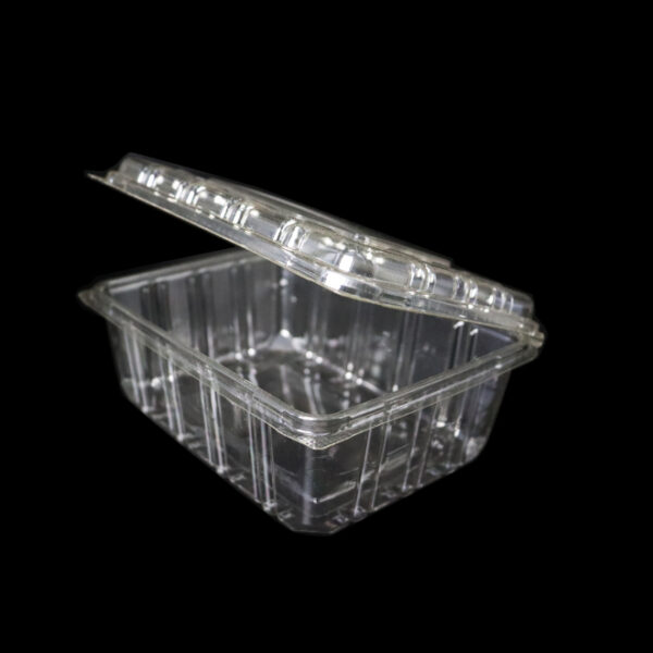 Clear Clamshell Takeaway Container