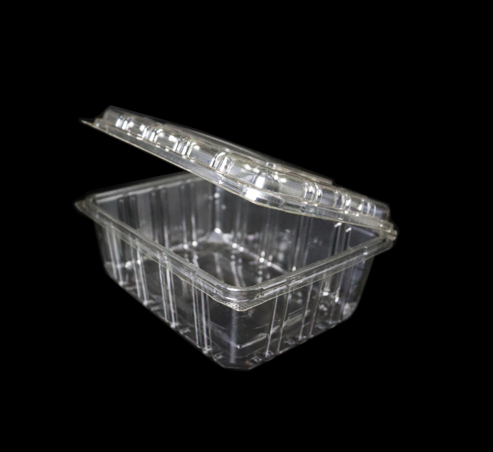 Clear Clamshell Takeaway Container
