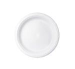 Plastic Plates 9" (25s)