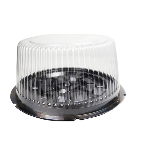 Clear Plastic Cake Container