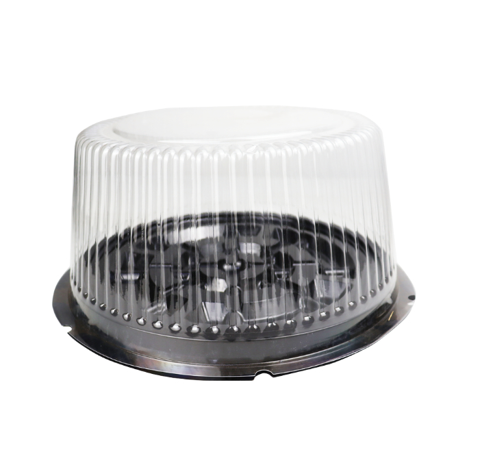 Clear Plastic Cake Container