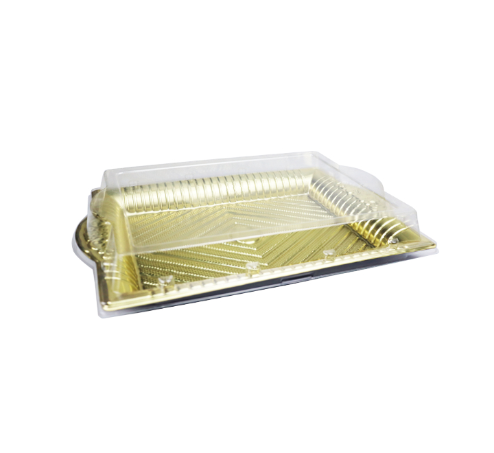 Disposable Square Plastic Serving Tray