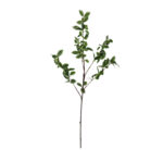 Artificial Variegated Ficus Brown Stem 