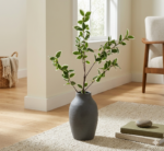 Artificial Variegated Ficus Brown Stem 