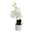 Artificial Mini Orchid