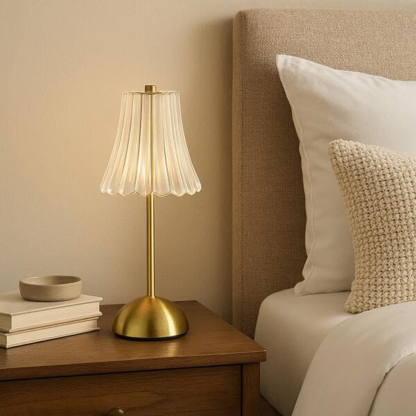 Rechargeable Desk Lamp with Acrylic Shade