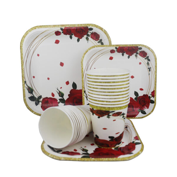 Disposable Plate/Cup Set 60pc