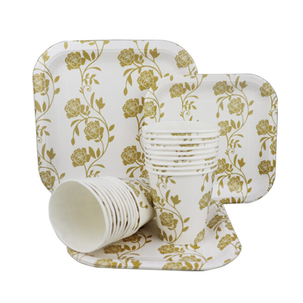 Disposable Plate/Cup Set 60pc