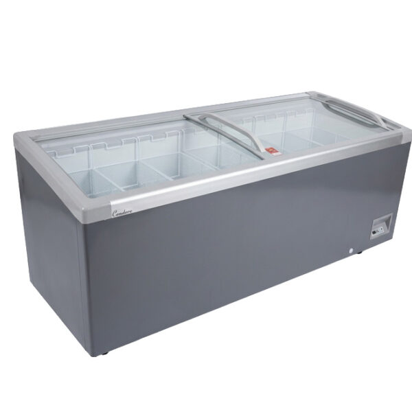 Island Freezer 2100L