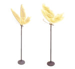 2 Head Butterfly Floor Lamp 80cm